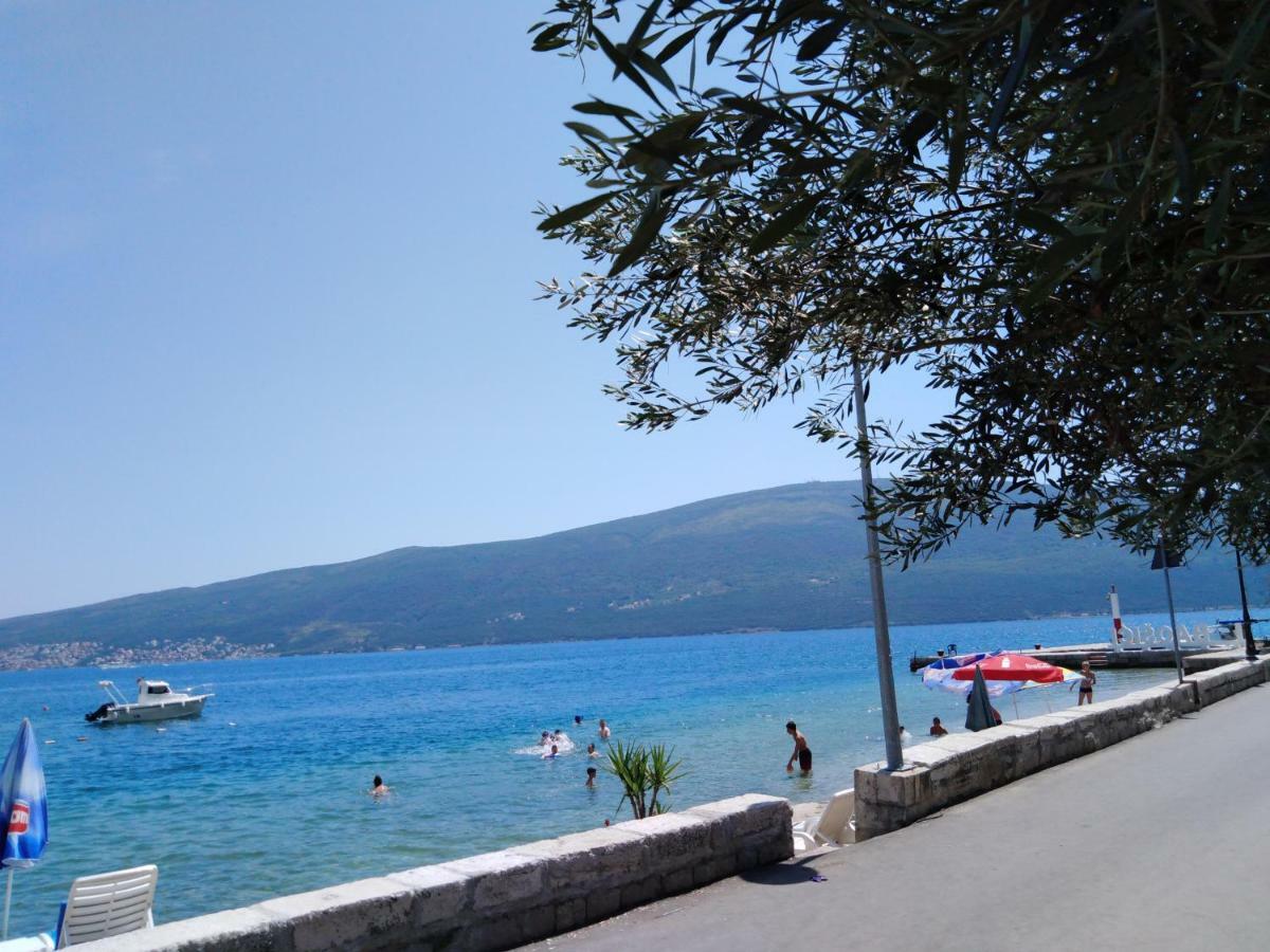 Apartman Gust Herceg Novi Zewnętrze zdjęcie